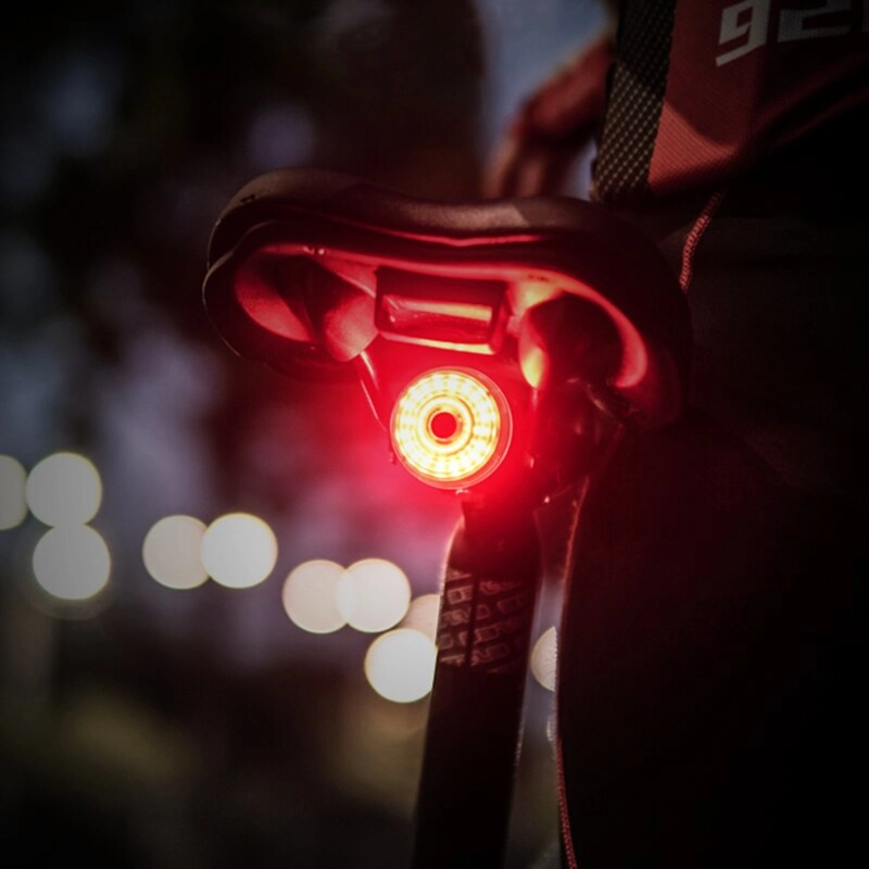 LEADBIKE Smart Brake Sensing Bicycle Rear Lights Cycling Light Waterproof USB Charging Bike Lights Led Taillight Mtb Accesorios