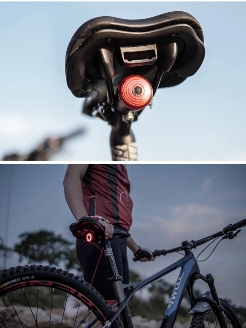 LEADBIKE Smart Brake Sensing Bicycle Rear Lights Cycling Light Waterproof USB Charging Bike Lights Led Taillight Mtb Accesorios