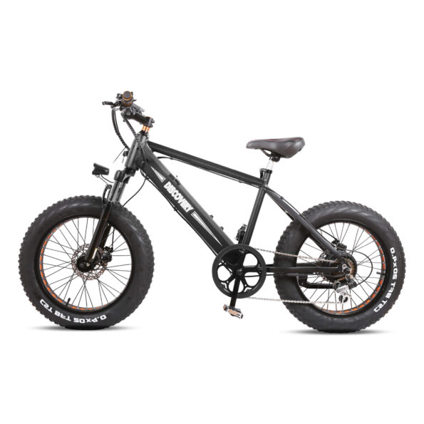 Nakto Electric Bike DISCOVERY eMTB 6 Speed 20×4 inch Fat Tire Mountain eBike 48V 8Ah 350W Motor Electric Bicycle (1)